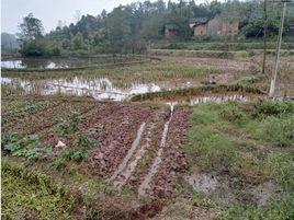 永興村[湖南省益陽市資陽區長春鎮永興村]
