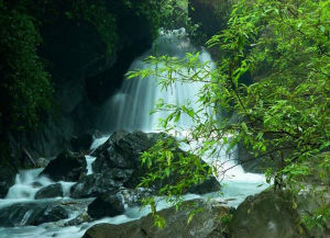 樂山市峨眉山景區 樂山市峨眉山景區