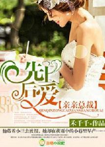 總裁,先有後愛 總裁,先有後愛