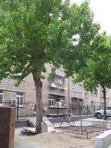 七棵樹小區 七棵樹小區