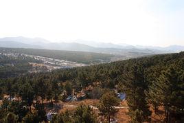 努魯兒虎山國家級自然保護區 努魯兒虎山國家級自然保護區