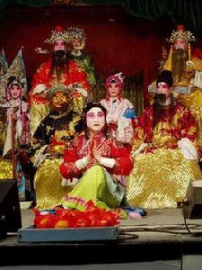 蒼南民間八仙戲 蒼南民間八仙戲