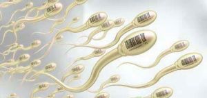 精子減少 精子減少