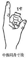 手指同身寸定位法 手指同身寸定位法