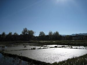 下江尾自然村 下江尾自然村