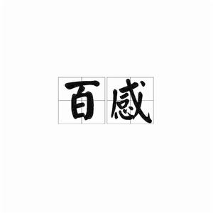 百感[詞語]