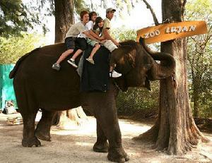 （圖）盧漢動物園