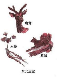 東北三寶[東北特產]