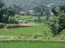 打壩沖村 打壩沖村