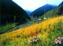 壽鹿山國家森林公園