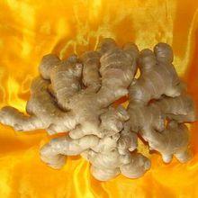 圖1 博愛生薑產品