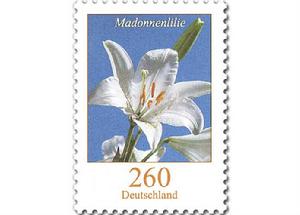 高面值普通郵票:聖母百合 高面值普通郵票:聖母百合