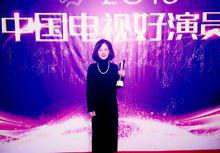 2016年中國電視好演員評選