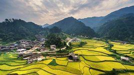 佛頂山自然保護區 佛頂山自然保護區