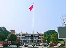 白馬鎮便民服務中心