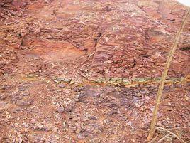 五色土賦 五色土賦