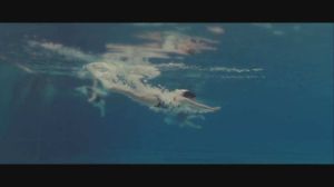 游泳的人 游泳的人