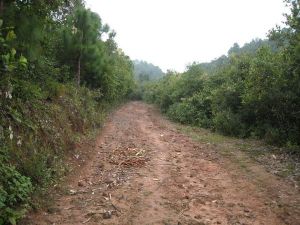 幸福地村 幸福地村