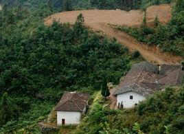 東韶凌雲山 東韶凌雲山