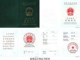 財務助理 財務助理