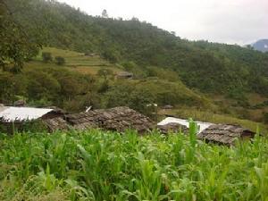 你左地村 你左地村