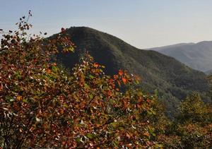 河南大鴻寨國家森林公園