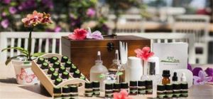 香草菲菲 香草菲菲