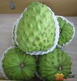 釋迦摩尼果 釋迦摩尼果