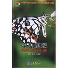 白條黛眼蝶 白條黛眼蝶