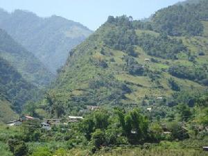 大練地自然村 大練地自然村