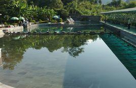 博白高山溫泉 博白高山溫泉