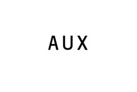 AUX[輔助/附加接口]