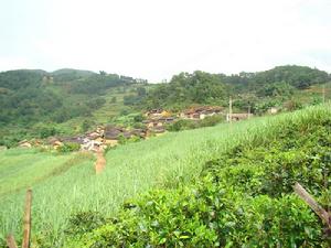 大立戛自然村 大立戛自然村