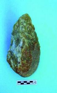 莫維斯理論 莫維斯理論