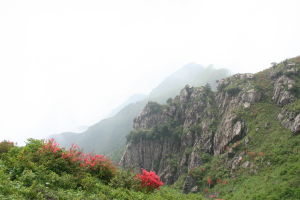 大路畲族風情村 大路畲族風情村