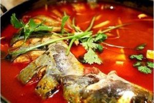 鯽魚蓯蓉火鍋 鯽魚蓯蓉火鍋