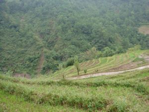 布乃自然村 布乃自然村