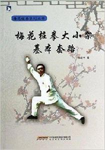 梅花樁拳大小架基本套路 梅花樁拳大小架基本套路