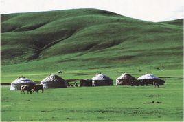 高原大陸性氣候 高原大陸性氣候