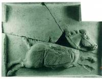 四什伐赤 四什伐赤