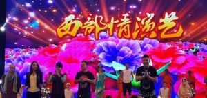 青海西部情演藝 青海西部情演藝