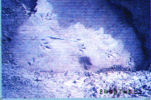 劉家峽國家地質公園