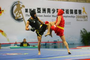 亞洲青少年武術錦標賽 亞洲青少年武術錦標賽