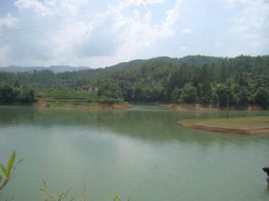 橋下水庫 橋下水庫