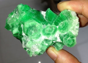 中國祖母綠 中國祖母綠