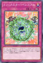 淘氣仙星的多年生宿根草本