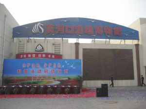 黃河口濕地博物館 黃河口濕地博物館