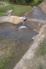 清水鄉[湖南省保靖縣清水鄉]