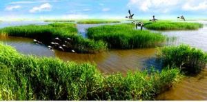 盤錦鼎翔生態旅遊度假區 盤錦鼎翔生態旅遊度假區