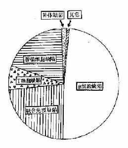 聯合免疫缺陷病